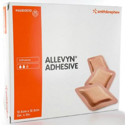Allevyn Adhesive - 12.5cm x 12.5cm (10)