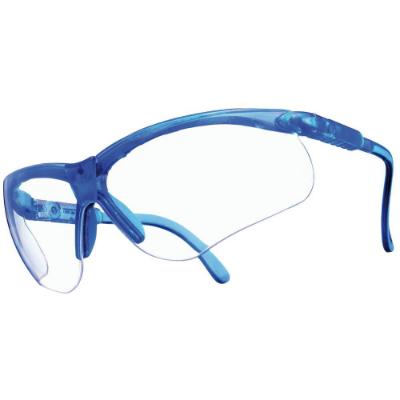 Perspecta 010 Safety Glasses - Clear