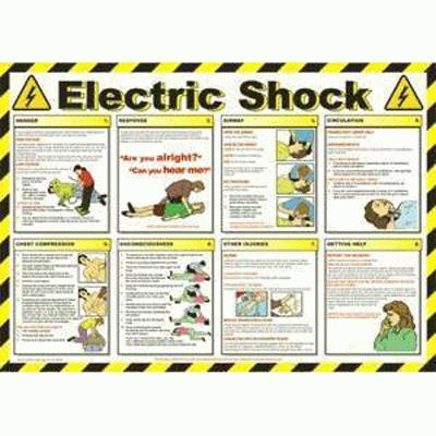 Electric Shock Wallchart (420 x 590mm)