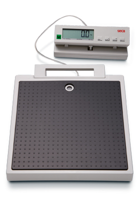 seca 899 Flat Scale with Cable Remote Display - Class III