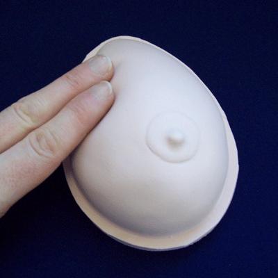 Breast Awareness Model - White